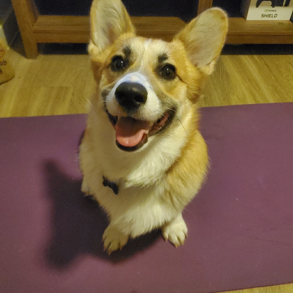 Meet your Posher, Kristen